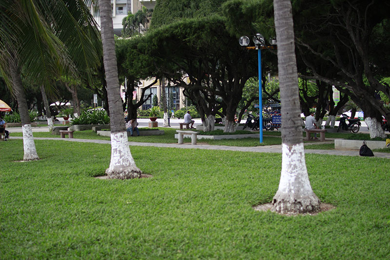 chợt nhớ lại nha trang