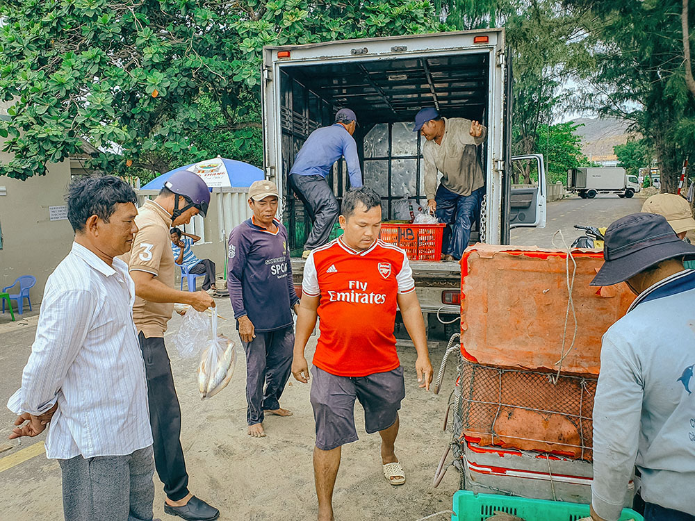 phuoc-hai-brvt-2019 (15)