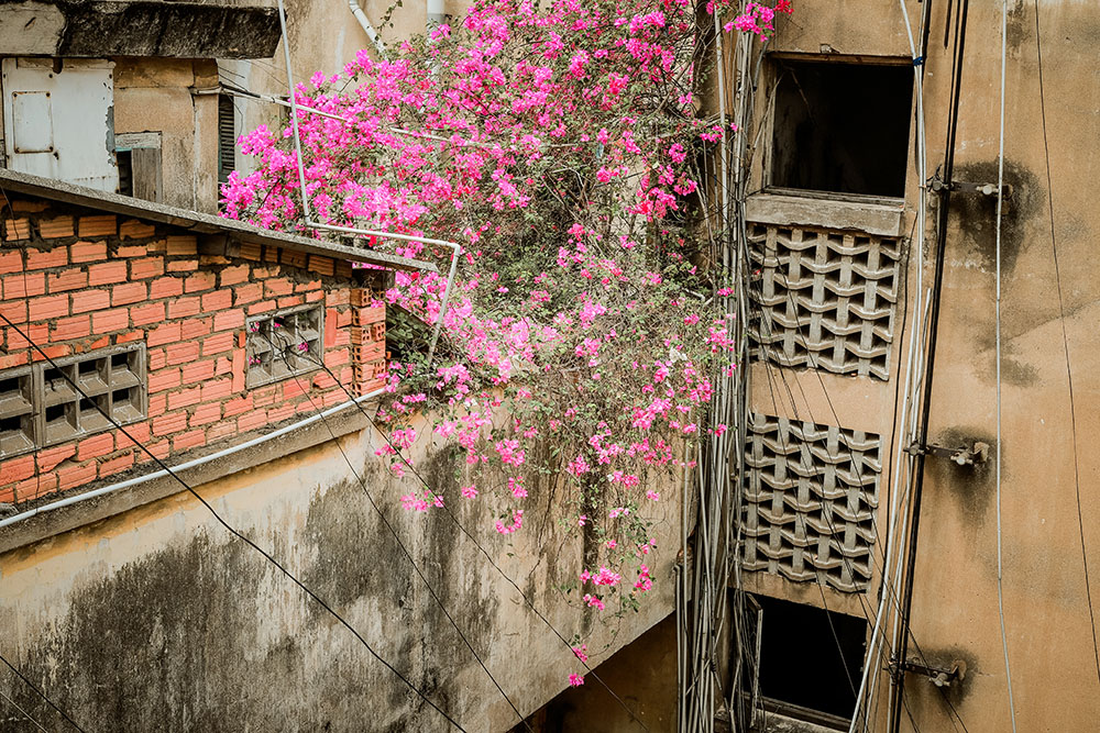 chung cư tôn thất đạm quận 1