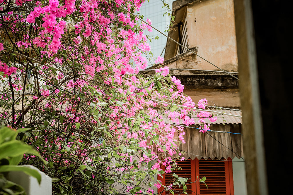 chung cư tôn thất đạm quận 1