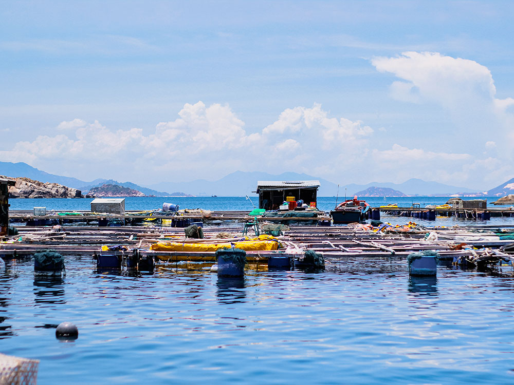 dao-binh-hung-cam-ranh-khanh-hoa (10)