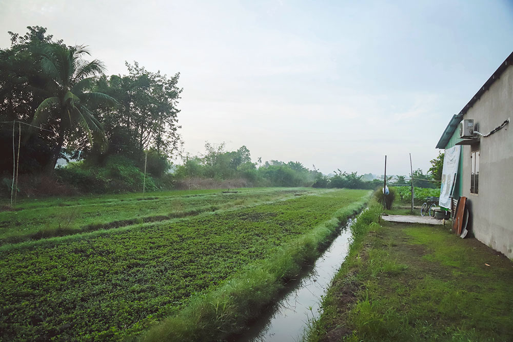 huyện hóc môn ngoại thành