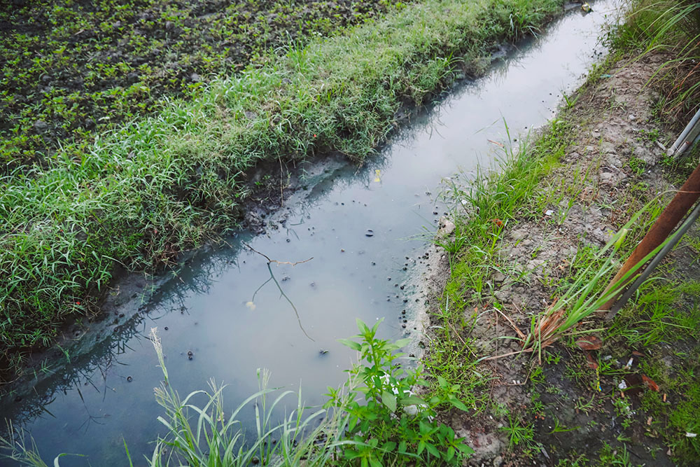 huyện hóc môn ngoại thành