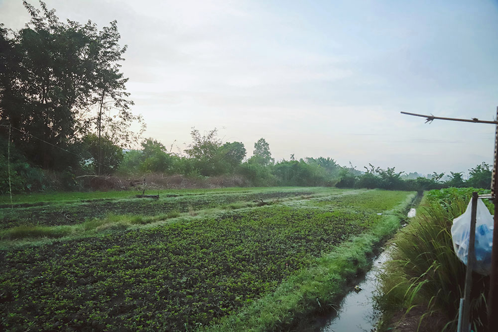 huyện hóc môn ngoại thành