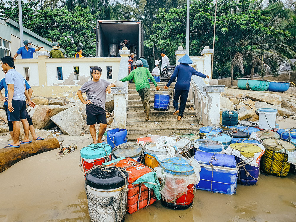 phuoc-hai-brvt-2019 (9)